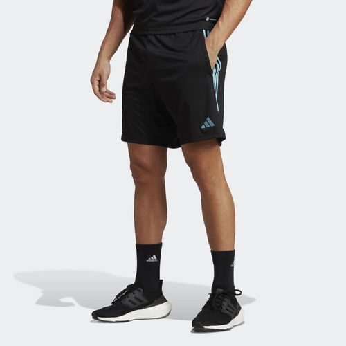 Short Adidas Tiro 23 Club Training