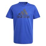 Camiseta Adidas Essentials Big Logo Infantil _P01