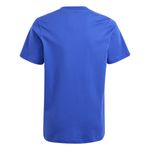 Camiseta Adidas Essentials Big Logo Infantil _P02