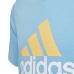 Camiseta Adidas Big Logo_P03