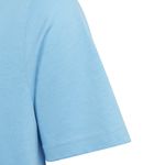 Camiseta Adidas Big Logo_P05