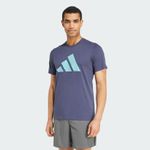Camiseta Adidas Essentials _P02