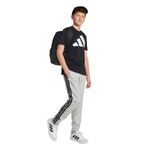 Camiseta Adidas Big Logo _P04