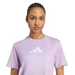 Camiseta Adidas Essentials_P03